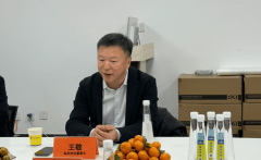 “尺度化复制+个性化适配”的双沉结果